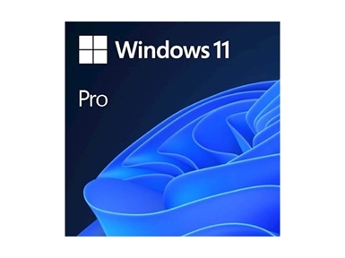 Microsoft Windows 11 Professional 64-bit SLO DSP (FQC-10551)