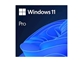 Microsoft Windows 11 Professional 64-bit SLO DSP (FQC-10551)